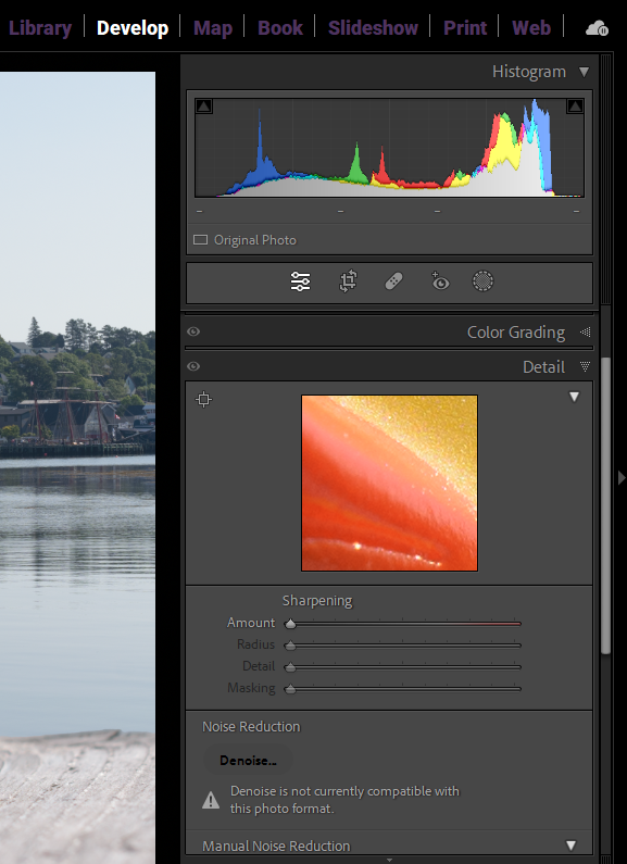 Details Panel in Lightroom Classic part of workflow for how to edit photos