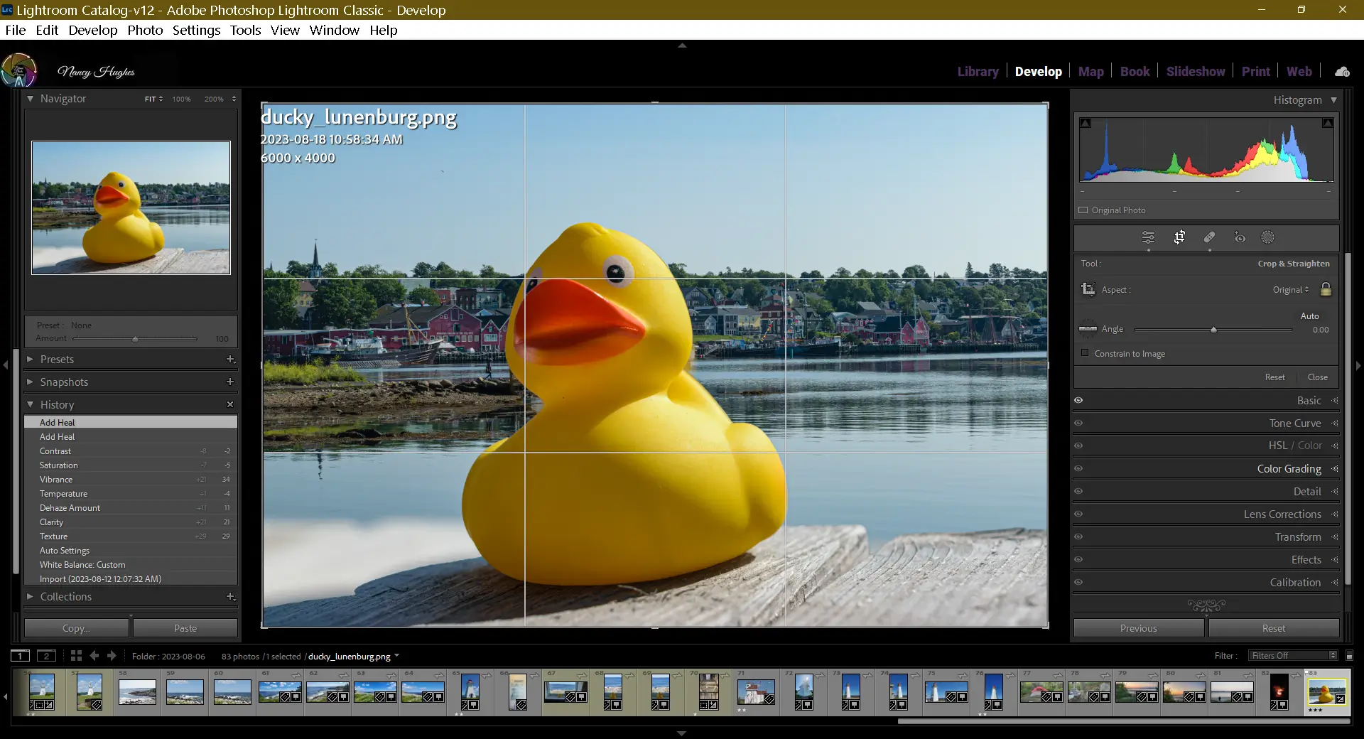 Develop Screen in crop and straighten panel as an example for How to Edit Photos