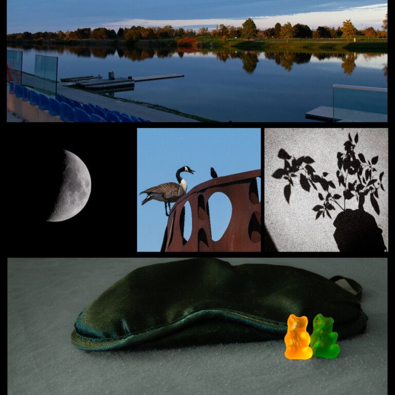 types of photography collage, landscape, moon, goose, shadow and sleep mask with gummy bears