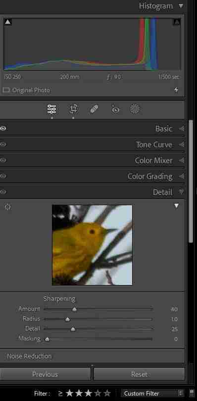 detail panel in lightroom classic