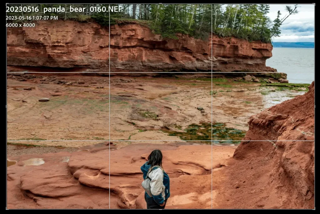 Screen shot of a photo with thirds grid showing how the scene is using rule of thirds