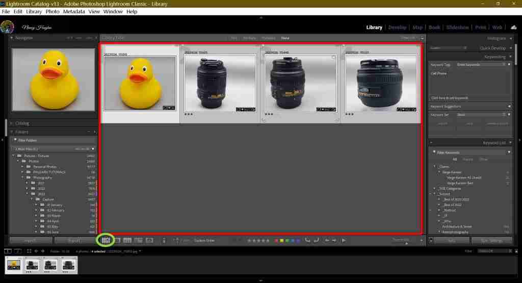 Lightroom screen shot showing grid view